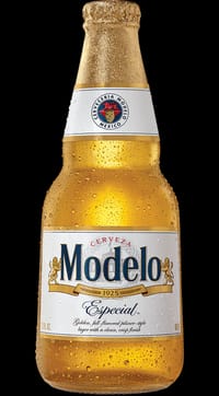 Modelo at Injera & Beyond, Cedar Park TX
