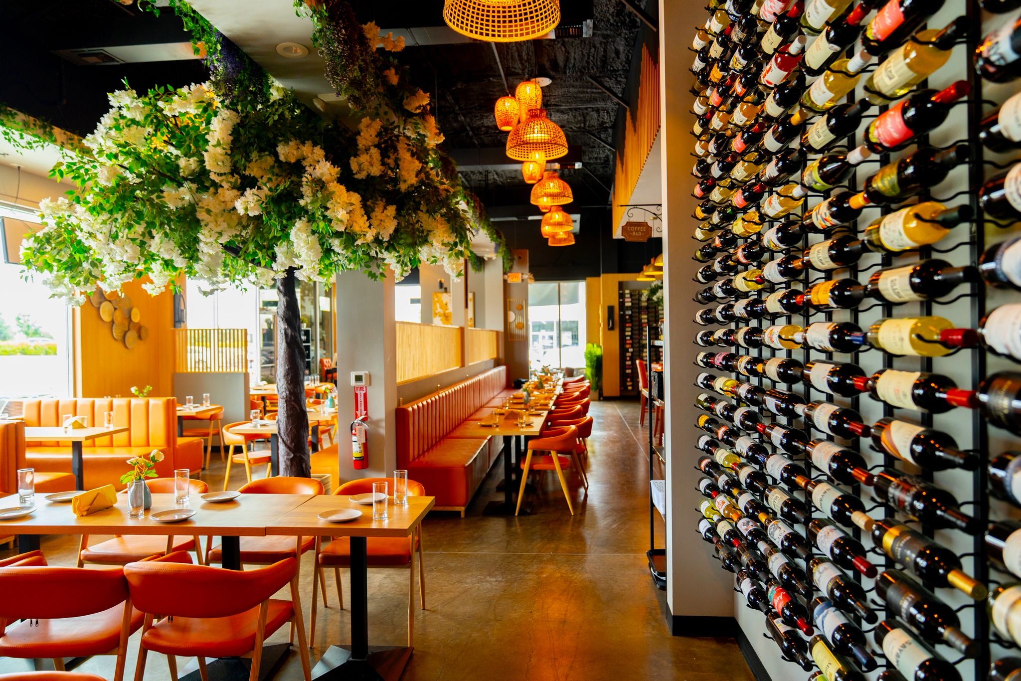 Injera & Beyond restaurant photo