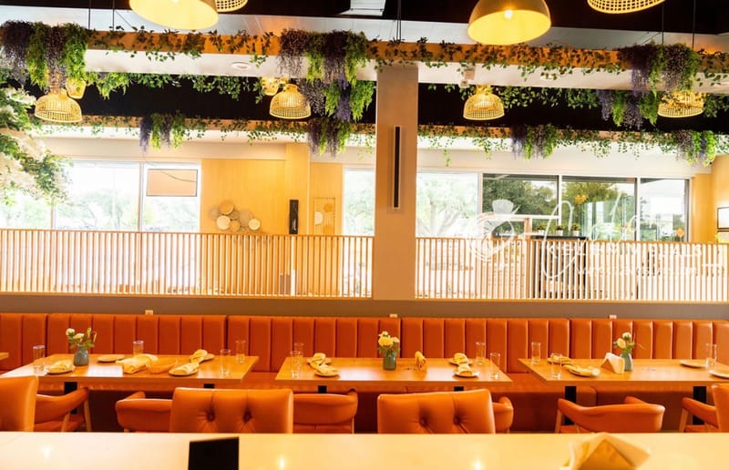 Cozy booth seating with hanging plants at Injera & Beyond Cedar Park